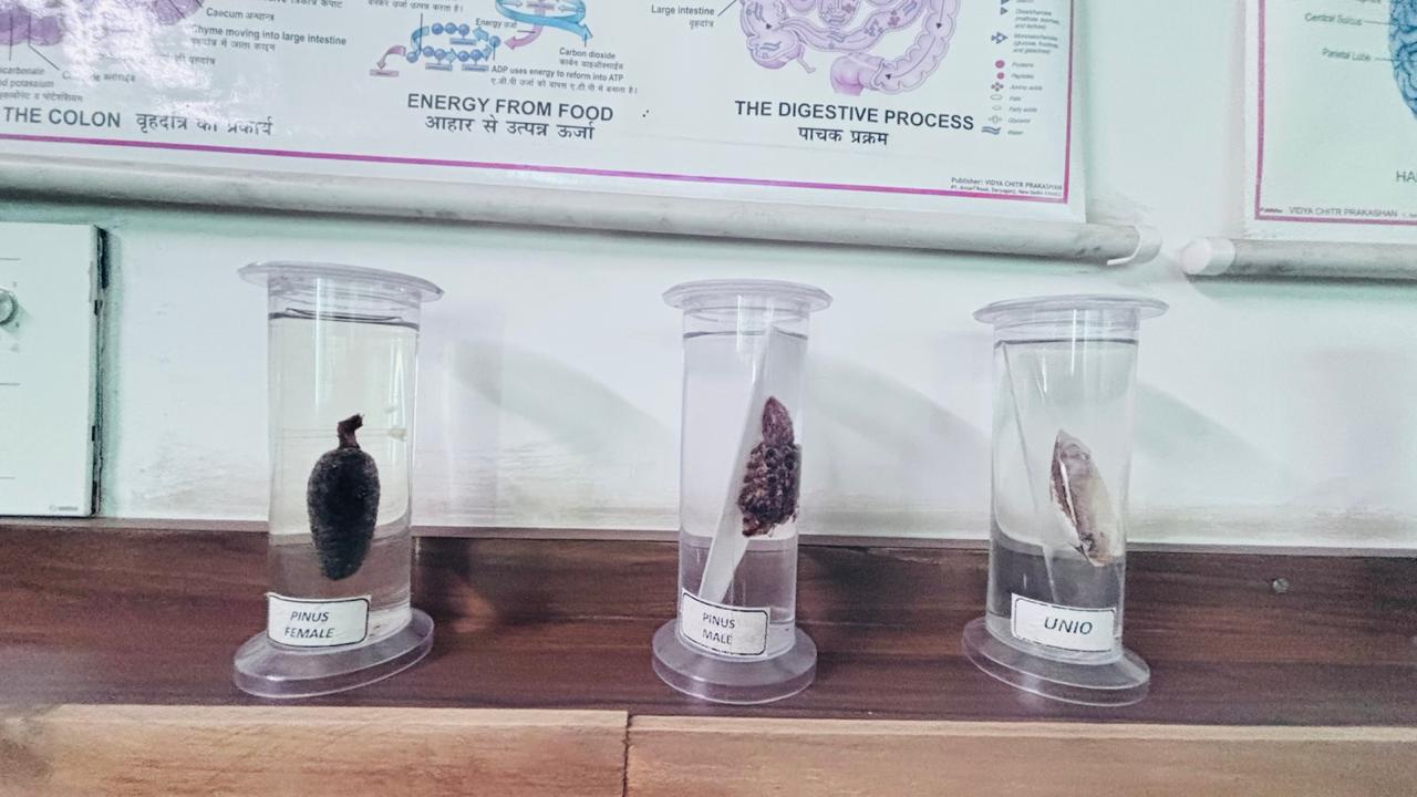 composite lab  MDS International school